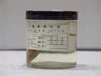 藏品(橫帶髭鯛)的圖片